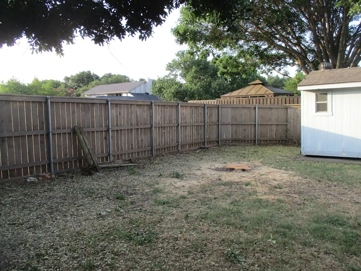 Cleared yard after professional tree removal in Indian Wells